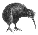 kiwi.gif (5077 bytes)
